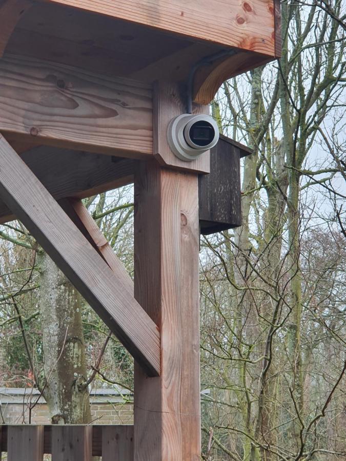 Beachhouse Zeewinde Zoutelande Zewnętrze zdjęcie