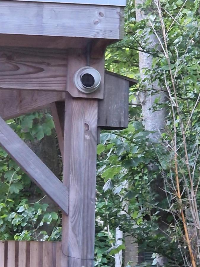 Beachhouse Zeewinde Zoutelande Zewnętrze zdjęcie
